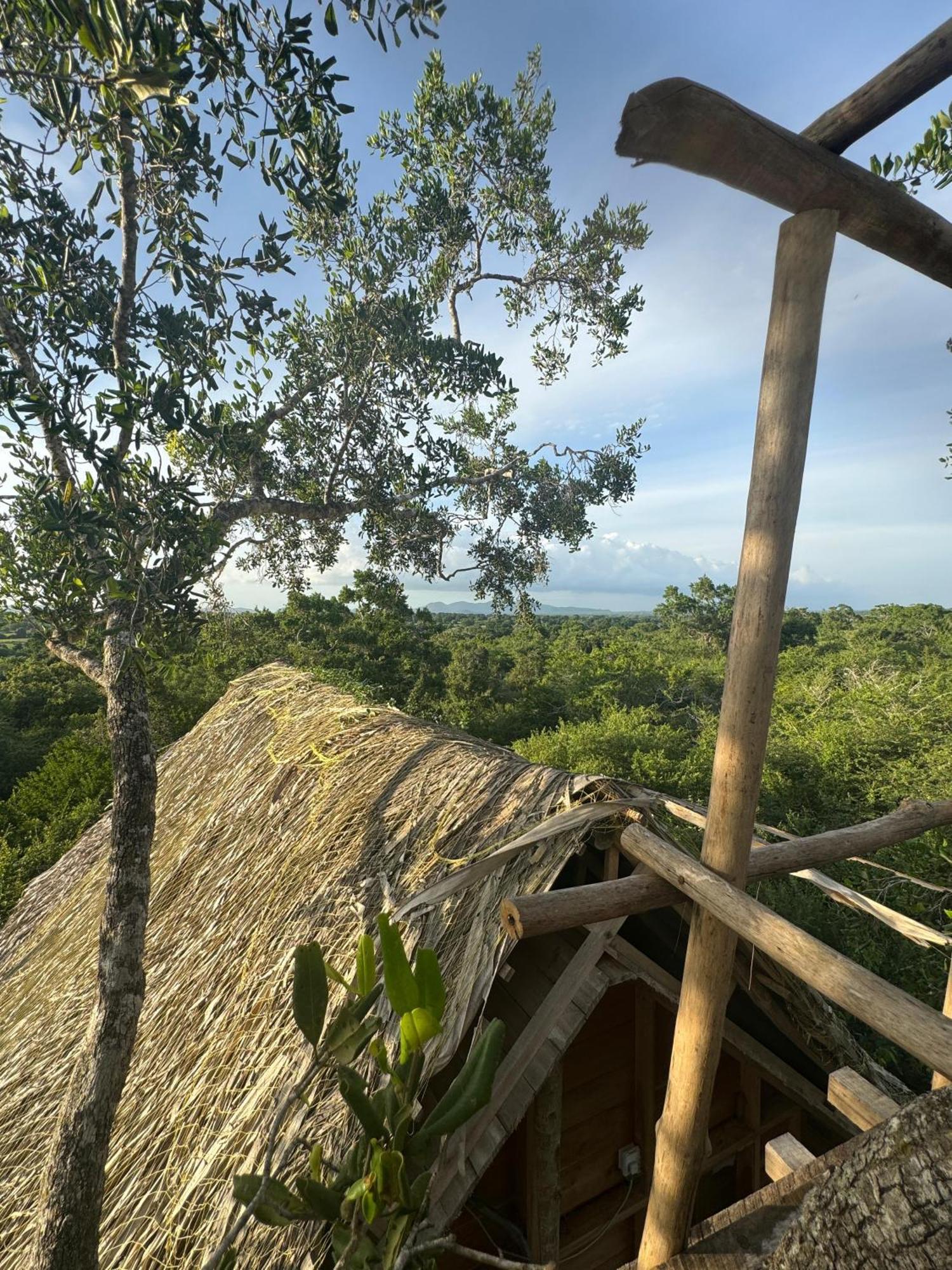 Hotel Mamba Yala à Tissamaharama Extérieur photo